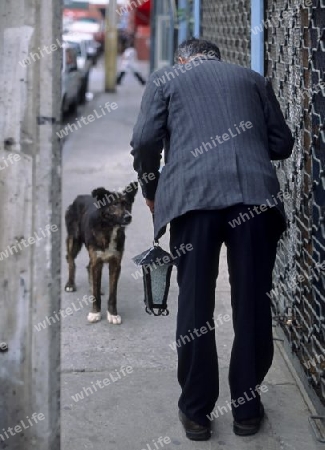 Mann mit Lanterne und Hund