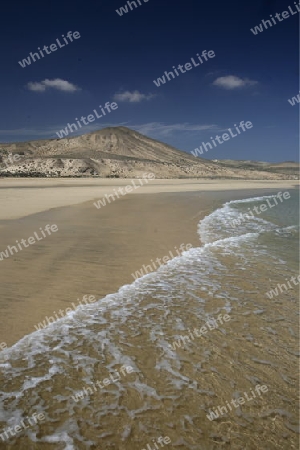 the Playa de Satovento de Jandia on the south of the Island Fuerteventura on the Canary island of Spain in the Atlantic Ocean.