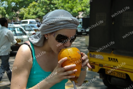 King Coconut - Erfrischungsgetr?nk in Sri Lanka