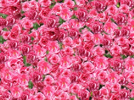 Blumenhintergrund, Rosen