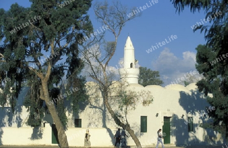 Eine traditionelle Moschee auf der Insel Djerba am Mittelmeer im sueden von Tunesien in Nordafrika.