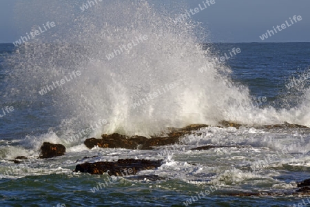 st?rmische See an den Felsen von Bird Island, Lamberts Bay, Western Cape, Westkap, S?dafrika, Afrika