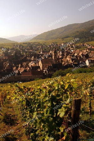 the olt town of the village of Riquewihr in the province of Alsace in France in Europe