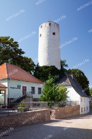 Stadtmuseum und Waagenmuseum Oschatz mit altem Stadtturm