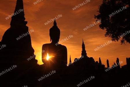 Eine Buddha Figur  im Wat Mahathat Tempel in der Tempelanlage von Alt-Sukhothai in der Provinz Sukhothai im Norden von Thailand in Suedostasien.