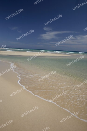 the Playa de Satovento de Jandia on the south of the Island Fuerteventura on the Canary island of Spain in the Atlantic Ocean.