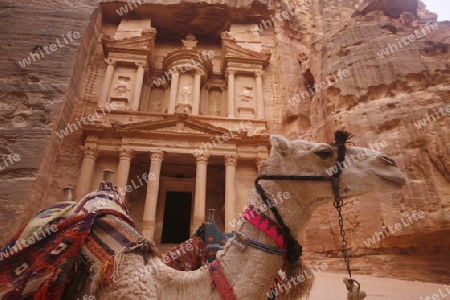 The Al Khazneh Treasury in the Temple city of Petra in Jordan in the middle east.