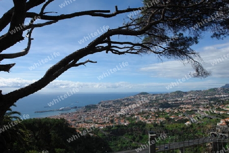 Funchal 6