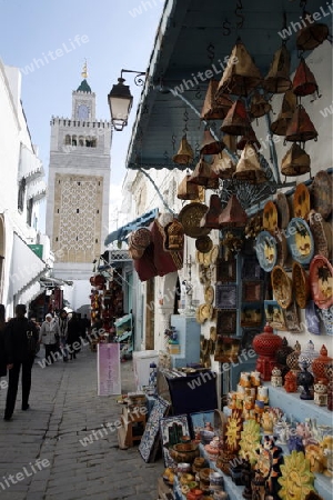 Eine Gasse mit der Moschee Zaytouna oder Grosse Moschee im Souq oder Bazzar in der Altstadt  von Tunis am Mittelmeer in Tunesien in Nordafrika..