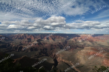 Grand Canyon I