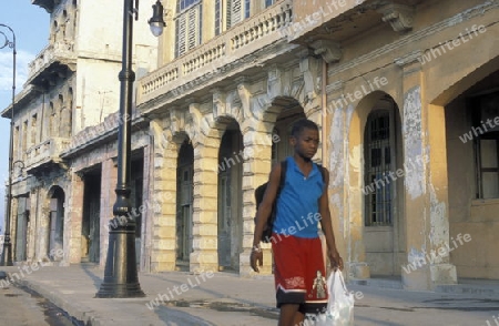 the Malecon road on the coast in the old townl of the city of Havana on Cuba in the caribbean sea