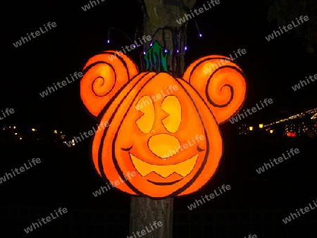 Disneyland Paris Halloween 2008 Pumpkin K?rbis