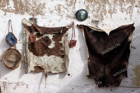 The Leather production in the old City in the historical Town of Fes in Morocco in north Africa.