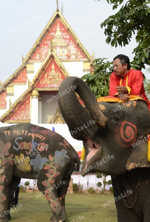 Das Songkran Fest oder Wasserfest zum Thailaendischen Neujahr ist im vollem Gange in Ayutthaya noerdlich von Bangkok in Thailand in Suedostasien.  