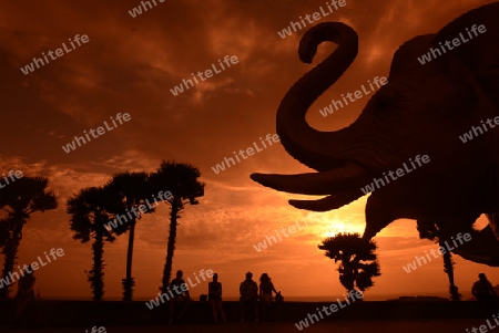 Der Aussichtspunkt Kap Promthep bei der Rawai Beach im sueden der Insel Phuket im sueden von Thailand in Suedostasien.