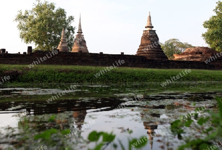 Ein Chedi beim Wat Mahathat Tempel in der Tempelanlage von Alt-Sukhothai in der Provinz Sukhothai im Norden von Thailand in Suedostasien.