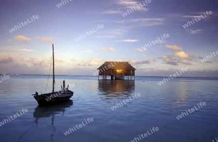 
Ein Holzboot Dhoni Taxi auf dem Weg zum Bungalow am Strand der Insel Veligandu im Artsu Atoll auf den Inseln der Malediven im Indischen Ozean.