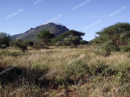 Landschaft, Tsavo, Nationalpark, Natur, Kenia, Kenya, Afrika