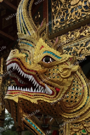 Die Architektur des Wat Phra Sing Tempel in Chiang Mai im Norden von Thailand.