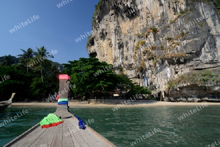 The Hat Tom Sai Beach at Railay near Ao Nang outside of the City of Krabi on the Andaman Sea in the south of Thailand. 