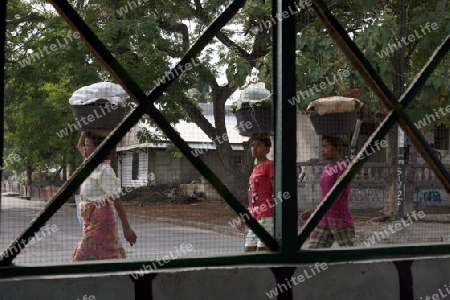 Frauen auf dem Weg zum Markt in Manatuto an der Nordkueste von Ost Timor auf der in zwei getrennten Insel Timor in Asien. 