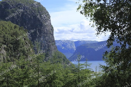 Blick auf den Fjord