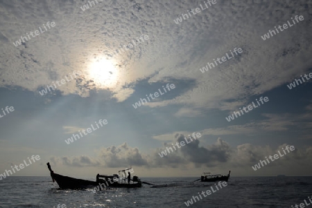 a Boat on the way to Maya Beach  near the Ko Phi Phi Island outside of the City of Krabi on the Andaman Sea in the south of Thailand. 