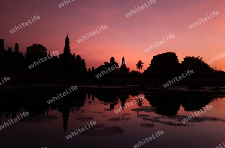 Der Wat Mahathat Tempel in der Tempelanlage von Alt-Sukhothai in der Provinz Sukhothai im Norden von Thailand in Suedostasien.