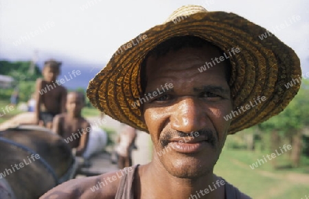 a Farmer near the city of Holguin on Cuba in the caribbean sea.