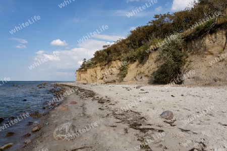 Steilk?ste beim Schwarzen Busch, Insel Poel