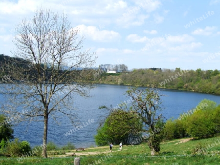 Weinfelder Maar oder Totenmaar