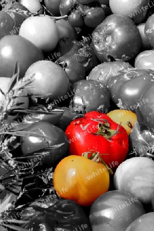 Tomaten-?berschuss