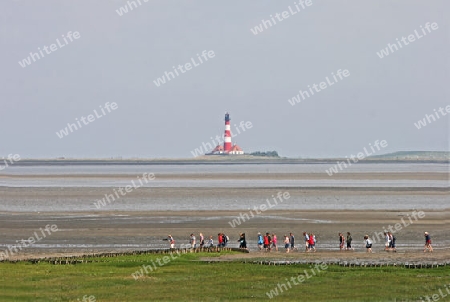 Westerhever Wattwandern