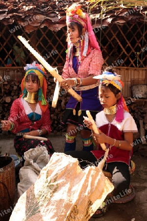 Eine Traditionell gekleidete Langhals Frau eines Paudang Stammes aus Burma lebt in einem Dorf noerdlich von Chiang Mai in Nord Thailand. 