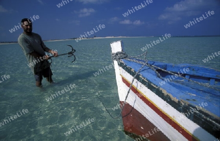 Afrika, Tunesien, Jerba
Ein Fischerboot am Strand auf der Insel Jerba im sueden von Tunesien. (URS FLUEELER)






