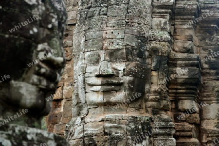 Stone Faces the Tempel Ruin of Angkor Thom in the Temple City of Angkor near the City of Siem Riep in the west of Cambodia.