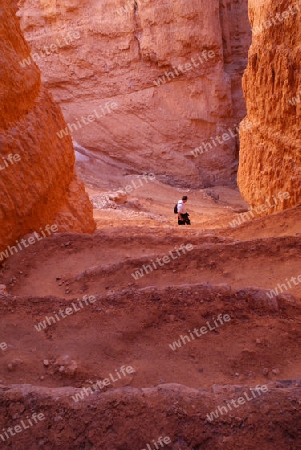 Bryce Canyon USA