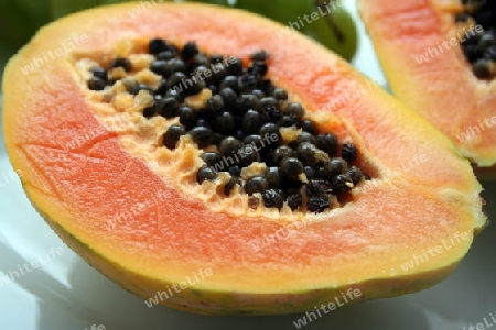 Papaya