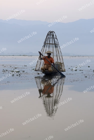 Fishermen at sunrise in the Landscape on the Inle Lake in the Shan State in the east of Myanmar in Southeastasia.