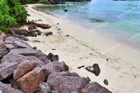 Sunny day beach view on the paradise islands Seychelles.