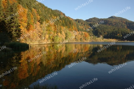 Spitzingsee im Herbst