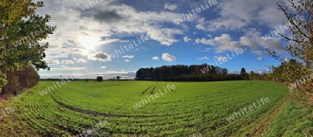 Beautiful high resolution panorama of a northern european country landscape with fields and green grass.