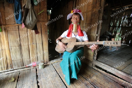 Eine Traditionell gekleidete Langhals Frau eines Paudang Stammes aus Burma lebt in einem Dorf noerdlich von Chiang Mai in Nord Thailand. 