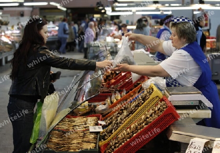 Die Markthalle in der Altstadt von Riga der Hauptststadt von Lettland im Baltikum in Osteuropa.  