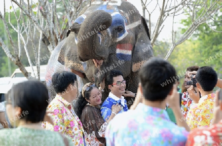 Das Songkran Fest oder Wasserfest zum Thailaendischen Neujahr ist im vollem Gange in Ayutthaya noerdlich von Bangkok in Thailand in Suedostasien.  