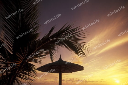 
Der Traumstrand mit Palmen und weissem Sand an der Insel Velavaru im Southmale Atoll auf den Inseln der Malediven im Indischen Ozean.   