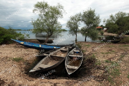 Europa, Osteuropa, Balkan. Montenegro, Skadar, See, Landschaft, Murici, Strand, Beach, Fischerboot,  