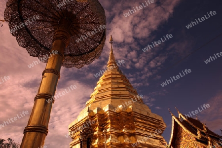 Der Chedi der Tempel Anlage des Wat Phra That Doi Suthep bei Chiang Mai in der Provinz Chiang Mai im Norden von Thailand in Suedostasien.