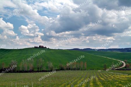 Toscana