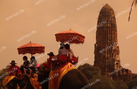 Ein Elephanten Taxi vor einem der vielen Tempel in der Tempelstadt Ayutthaya noerdlich von Bangkok in Thailand. 